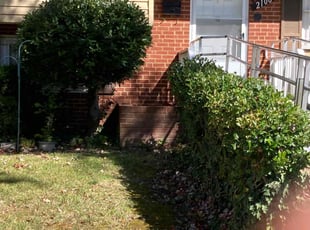 Bush Trimming by Robert Faison for Chandra W. in District Heights, MD