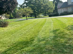 Monica D.'s Lawn Care service result