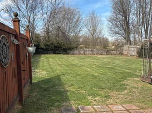Stephany H.'s Lawn Mowing Service service result