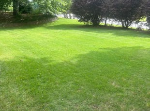 Donald U.'s Lawn Maintenance service result