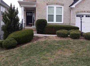Bush Trimming by Terry Collins for Bob M. in Ashburn, VA