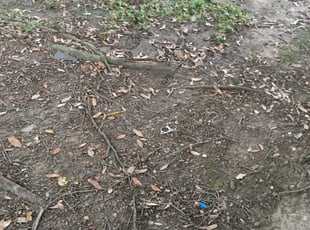 Cleanups by Chris Grant for Brittany W. in Walker, LA