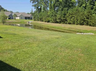 Cherry D.'s Yard Cutting service result