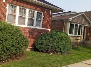 Bush Trimming by Tracey Martin for Chianti T. in Chicago, IL