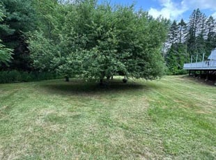 KIRTH R.'s Lawn Mowing Service service result