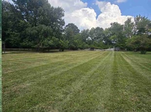 Peggy C.'s Lawn Mowing service result