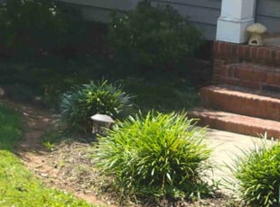 Weeding by James (Cranders) Neely Jr for Shomari S. in Rock Hill, SC