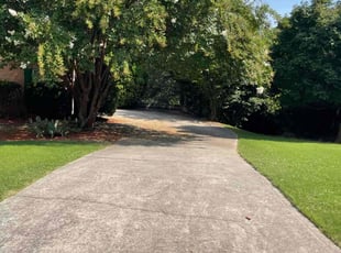 Daslyn H.'s Grass Cutting service result