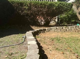 Bush Trimming by Victor Soler for Kody L. in Nashville, TN
