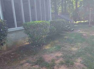 Bush Trimming by Arey Cooper for Ty S. in Jonesboro, GA