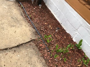 Leaf Removal by Nick Fritchman for Andrew L. in Runnemede, NJ