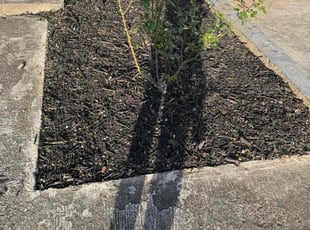 Weeding by Ethan Wright for Moronda W. in Marietta, GA