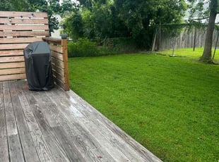 Melissa C.'s Lawn Mowing Service service result