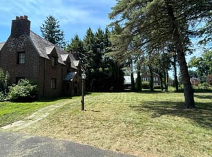 Philip M.'s Lawn Maintenance service result