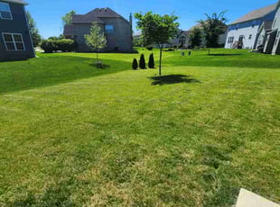 Charles R G.'s Grass Cutting service result