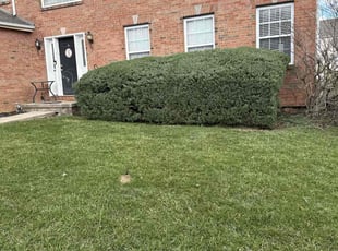 Bush Trimming by Nicole James for Jillian P. in Reynoldsburg, OH
