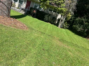 Jeffrey P.'s Bush Trimming service result