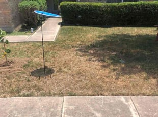 Bush Trimming by Chaes Pate for Brittany K. in San Antonio, TX