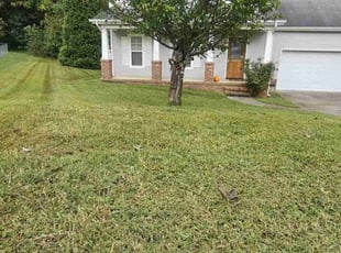 Nicole D.'s Lawn Service service result