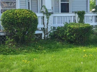 Bush Trimming by Tyler Stewart for Michael S. in Euclid, OH