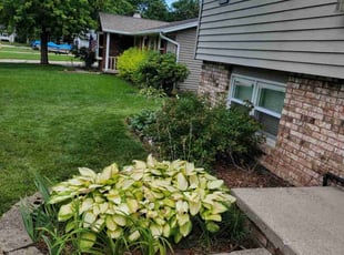 Marvin H.'s Grass Cutting service result