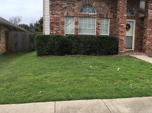 Bush Trimming by Quentin Morgan for Jesse C. in Flower Mound, TX