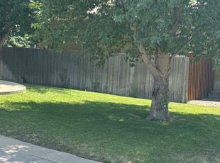 David H.'s Lawn Service service result