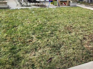 Leaf Removal by Ronnie Anderson for Sheryl C. in West Allis, WI