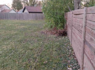 Bush Trimming by Daniel Burton for Geraldine C. in Aurora, IL