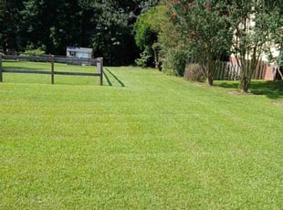Blake M.'s Lawn Mowing service result