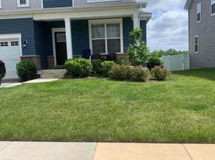 Bush Trimming by Jack Boons for Olga B. in Waldorf, MD