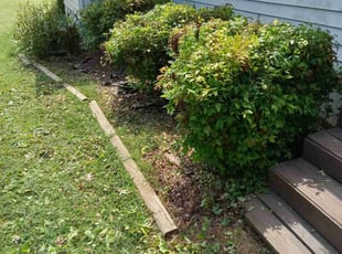 Bush Trimming by Hunter Foster for Donna Z. in Anderson, SC