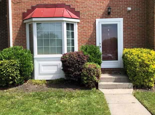 Bush Trimming by Jonathan Adams for Chris A. in Nottingham, MD