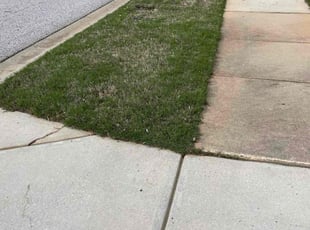 Leaf Removal by Fermin Garcia for Manoj M. in Lancaster, SC