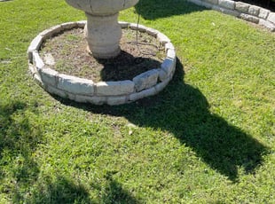 Weeding by Samuel Fogg for Mandy N. in Denton, TX