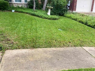 Garry k.'s Lawn Maintenance service result
