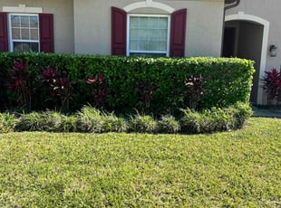 Bush Trimming by M&C Lawn Pro Services, LLC for Seth W. in Ocoee, FL