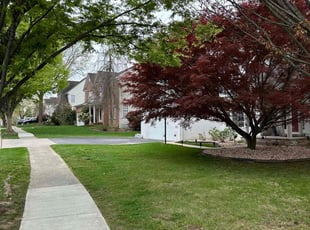 Leaf Removal by Thomas Souza for Jasween S. in New Market, MD