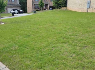 Bekena S.'s Lawn Care service result