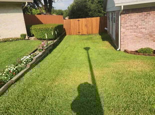 Vicki C.'s Lawn Mowing Service service result