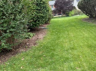 Carol P.'s Lawn Service service result