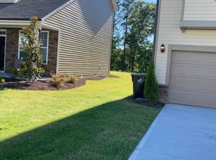 Annika W.'s Lawn Mowing service result