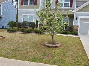 Bush Trimming by Alberto Sandoval for Srini T. in Woodstock, GA