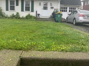 Weeding by Johnny Canales for Sue C. in Waterbury, CT