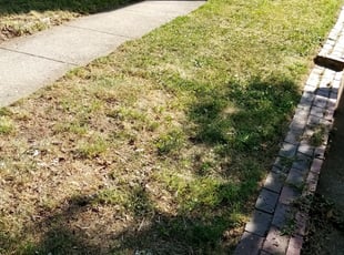 Cleanups by Erick Dickerson for Nepheterie E. in Hillcrest Heights, MD
