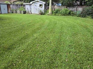 Rachel C.'s Lawn Mowing service result
