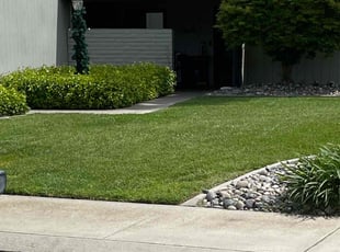 Linda W.'s Lawn Care service result