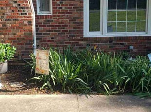 Tina M.'s Flower Bed Weeding service result