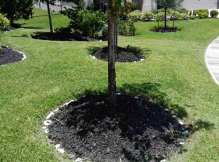 Mulching by Thomas Dilbeck for Zaki S. in Spring, TX