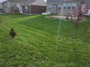 Joan R.'s Lawn Service service result